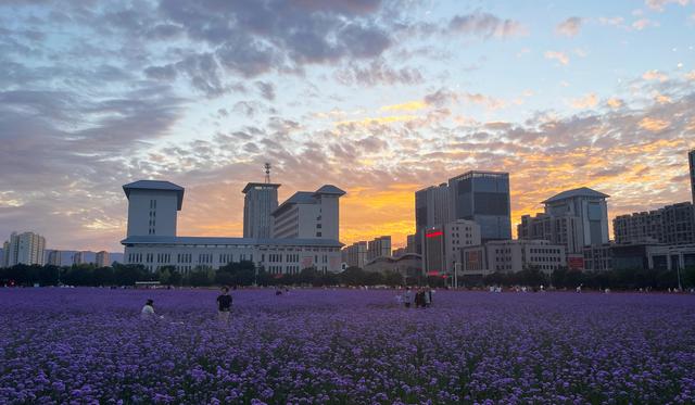 组图丨武威市政广场人如织景如画