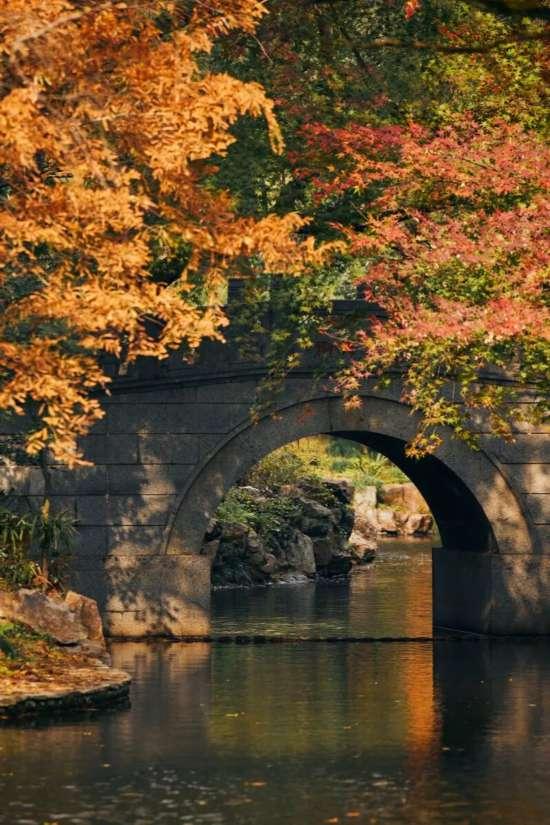 漫步这座“莫奈花园”，邂逅申城油画里的秋天