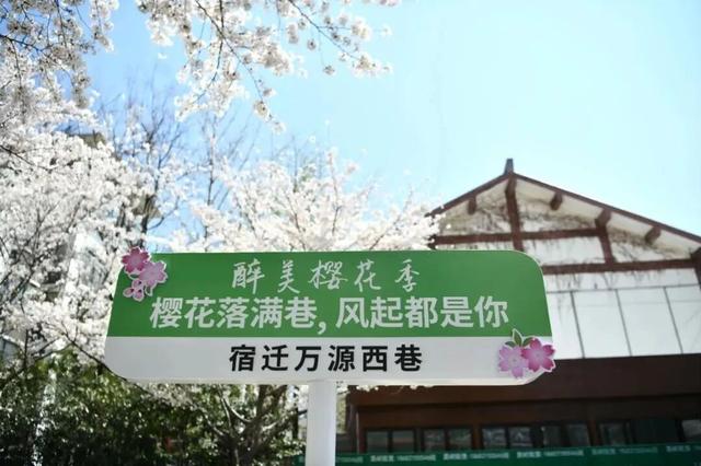 省级案例！宿城入选