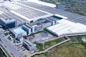 一位独立董事眼中的蒙娜丽莎图片