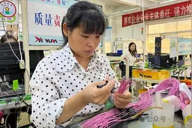 鲁西新区：汽车线束产销两旺图片