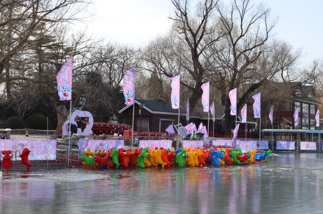 北京海淀玉渊潭公园冰场要开啦