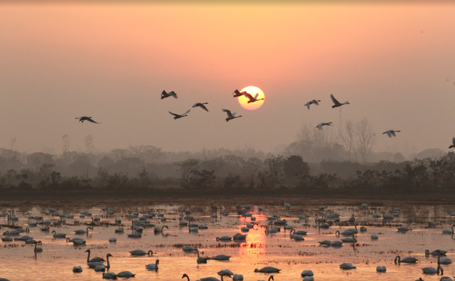 一份蟹肥满黄、银杏铺金的湖南秋冬出游清单