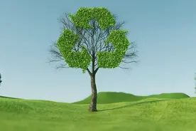 塑料污染迎来科技新解法？塑料或可“无限循环”图片