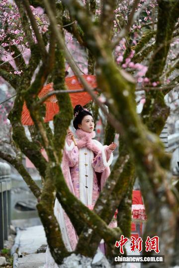 福州千年古刹梅香满枝