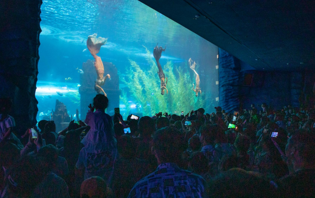 桂林融创乐园海世界，这样玩！