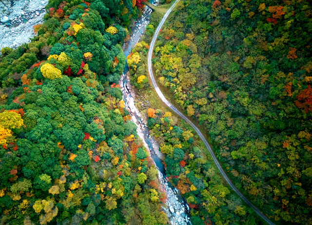 青睐绵阳 ‖ 小众彩林秘境！平武这条沟藏着最惊艳的秋天~