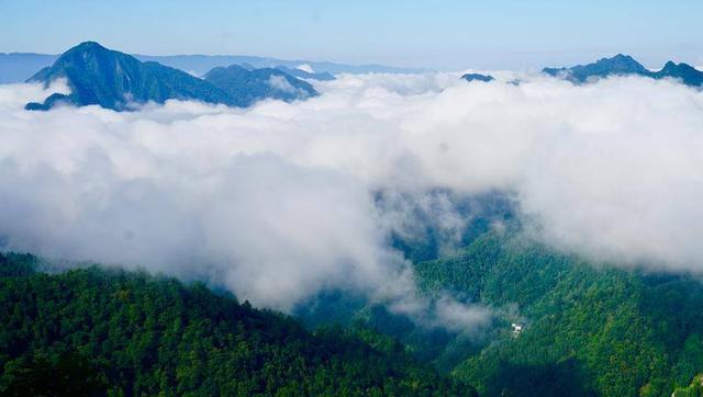 鹤峰三里荒晨韵：云海深处诗意浓