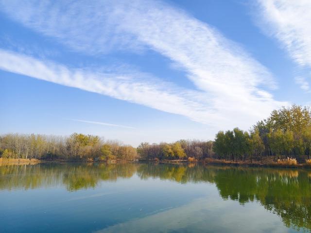 秋深冬浅时，奥森浸染缤纷色彩