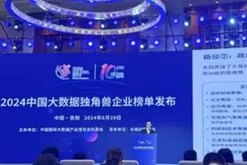 2024大数据独角兽企业榜发布，企查查成企业信用大数据领域唯一入榜企业图片
