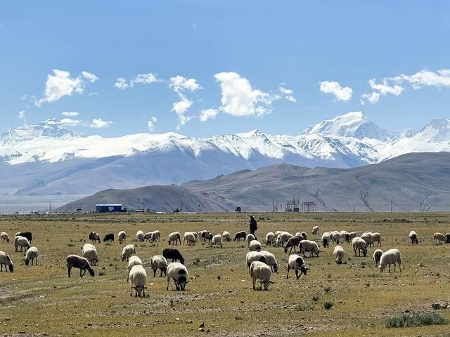 人生总要去一趟西藏吧（下）