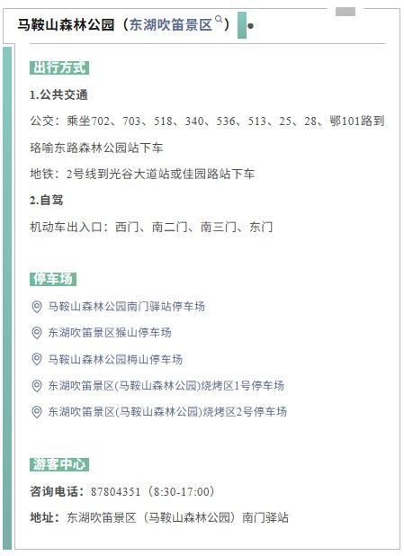 武汉10000㎡粉色地肤草回归即刷屏，园方：已达最佳观赏期，“花期”预计到10月底