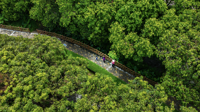 全省建成257个绿美点，广东因地制宜打造更多绿色开敞空间