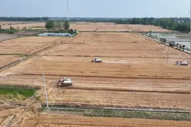 河南固始多措并举保夏粮颗粒归仓图片
