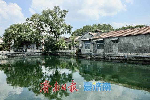 一年四季 泉在济南｜天光云影入泉来 王府池子展神韵