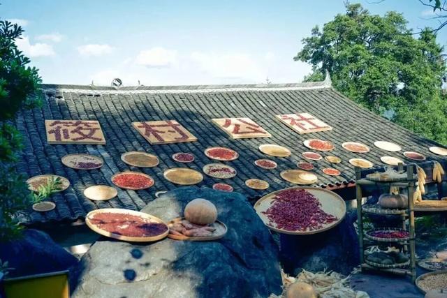 免费！上虞中小学生秋假福利来了