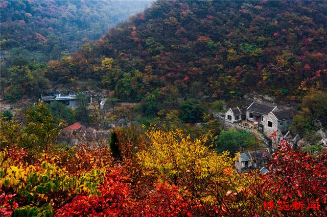 趣味无穷！秋日淄博博山赏红叶，这些打卡地玩法多样超好玩！