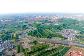 大运河畔牡丹斗芳菲 国色天香惹人醉图片