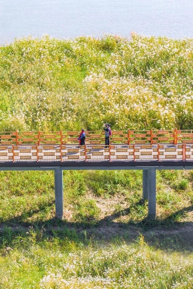 明天放晴！一口气3个好消息