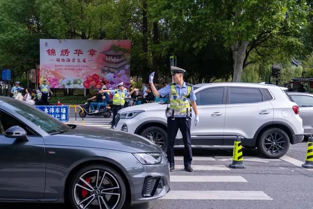 镇江，变得“不低调”了吗？