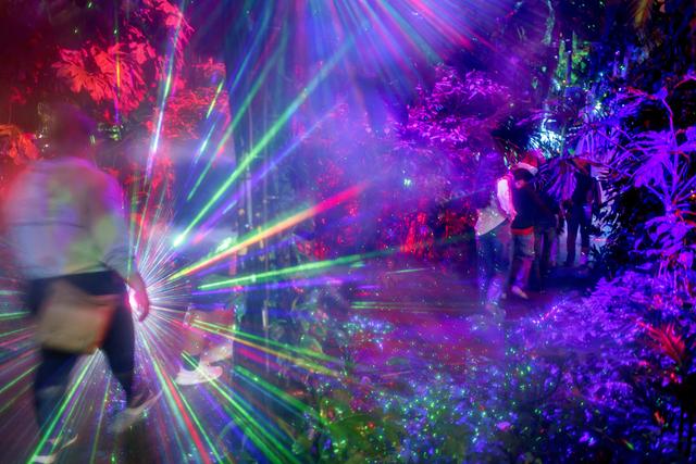 （外代二线）“夜间公园”灯光秀