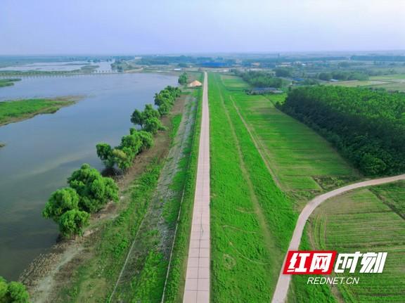 大通湖区：夏日来漉湖邂逅绝美生态“秘境”