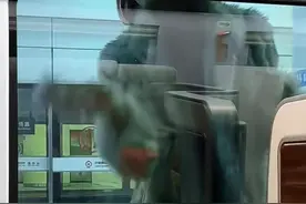 “精致女生坐高铁”：虽然精致但是虚假 | 新京报快评图片