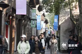 一个丰富的茅盾，以及将个人、时代、世界连接起来的文学奖｜文化观潮图片