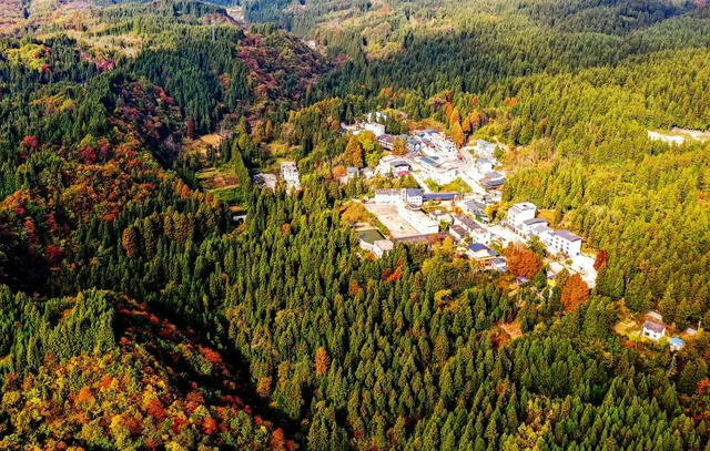 北北第一次推荐：湖北以外的打卡地