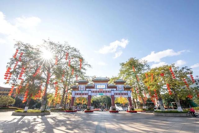 扛锄头、踏星光，他们一担一担“担”出星湖好风光