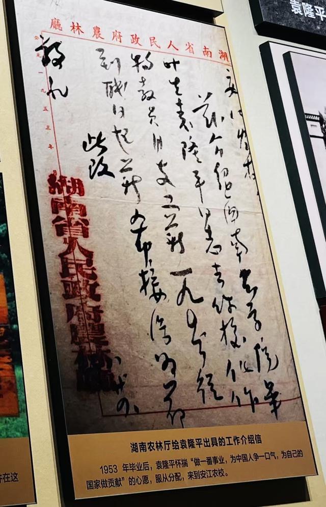 怀天化地：稻花香里说怀化