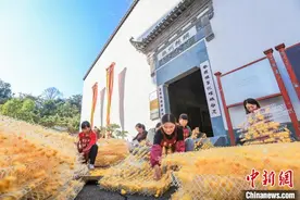 （乡村行·看振兴）安徽歙县：桑蚕吐“金丝” 传统产业焕“新颜”图片