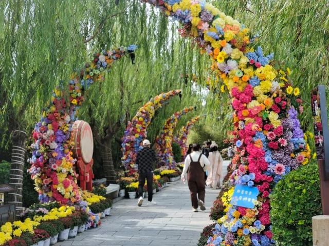为这朵花，赴一座城→