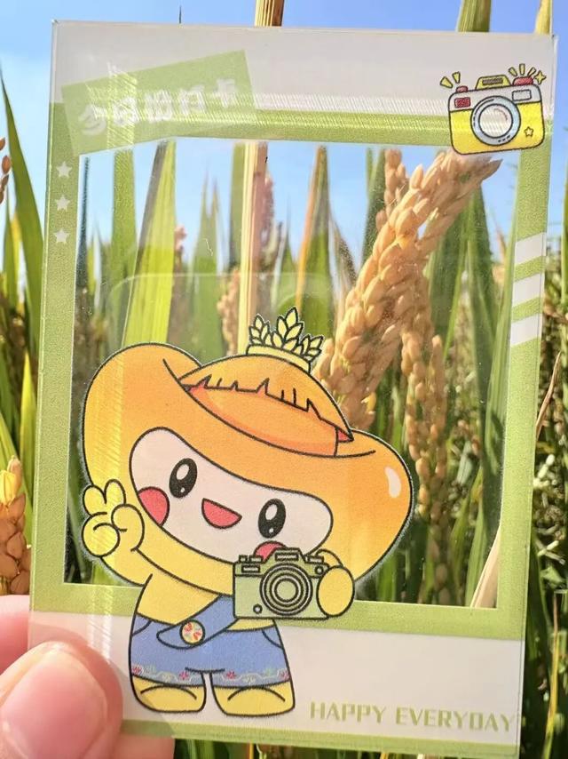 举张透卡逛罗泾！解锁宝山秋日新玩法，一起拍爆朋友圈~