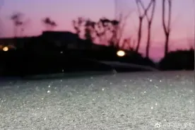 贵阳多地出现霜 晶莹剔透宛如钻石图片