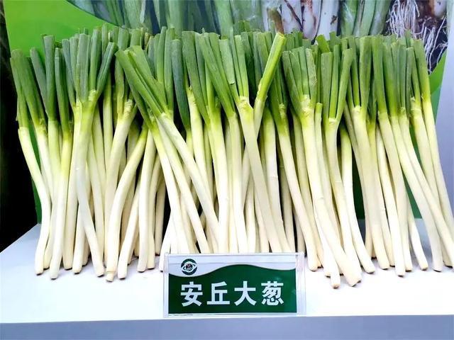 秋天，一定要来一趟潍坊安丘！