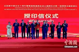 泰国南通商会成立 华人社团添新军图片