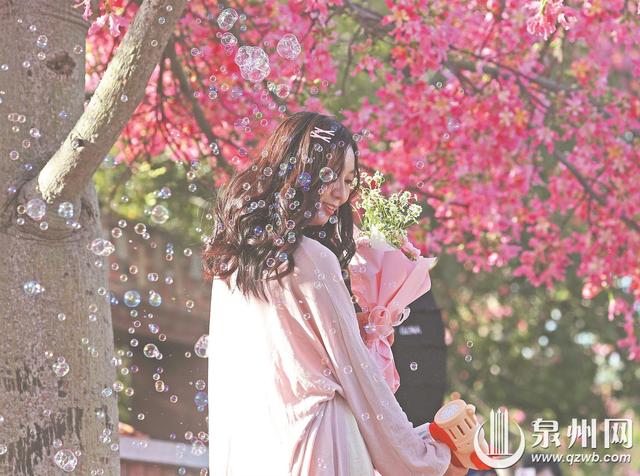 邂逅冬日粉色浪漫