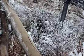 来广东看“冰雪”！粤北冷出了雾凇冰挂，广州明晨或迎6℃低温图片