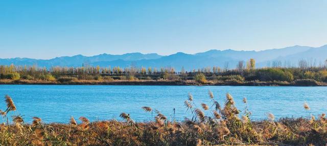 杨凌美成“调色盘”！你爱了吗？