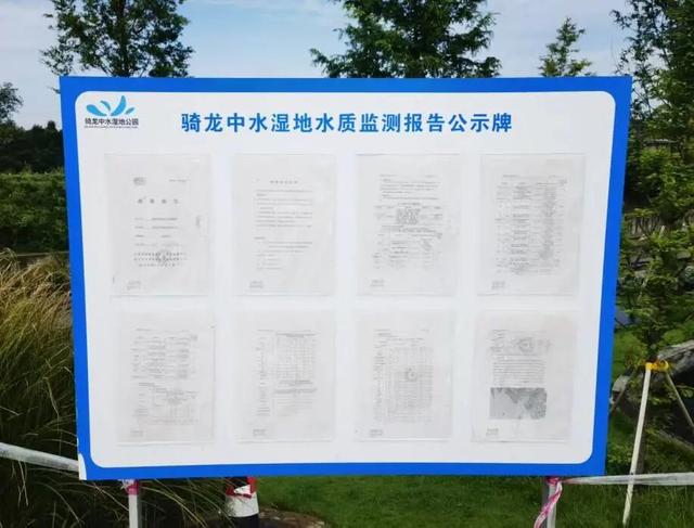 每天8.5万吨洗脚水冲厕水，竟都流向了这个网红公园？
