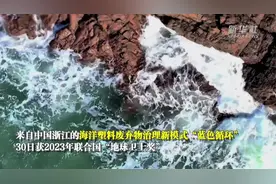 通讯：当海洋塑料污染遇到区块链——走进获联合国“地球卫士奖”的中国“蓝色循环”图片
