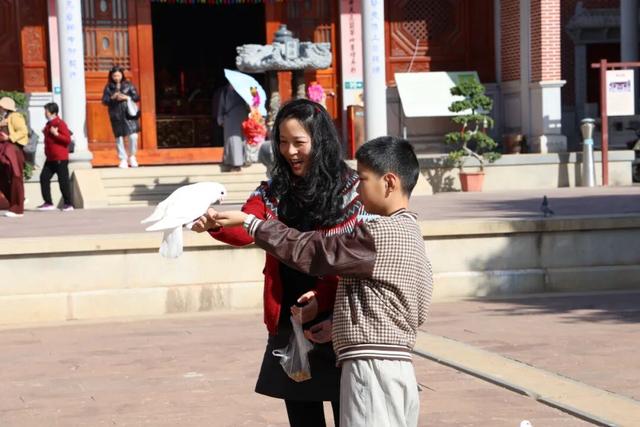 妈祖赐福・“紫”气东来！今天，一起在这里逛吃、集章、赏景~