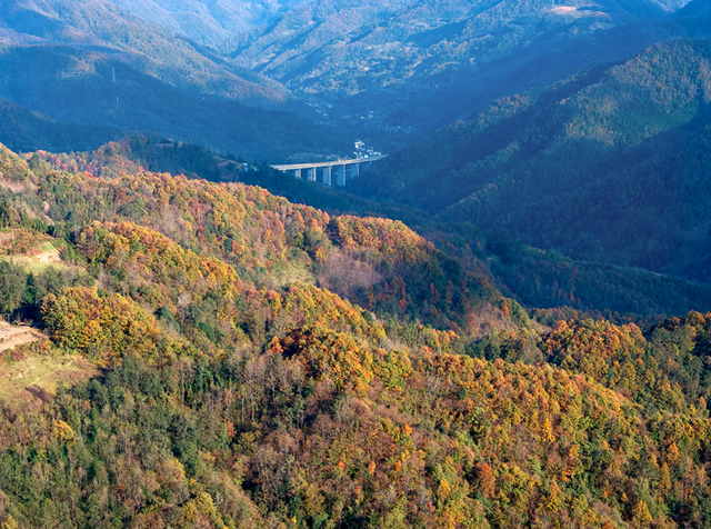 青睐绵阳 ‖ 云端公路 层林尽染！初冬驾游平武药丛山，限定版的视觉盛宴~