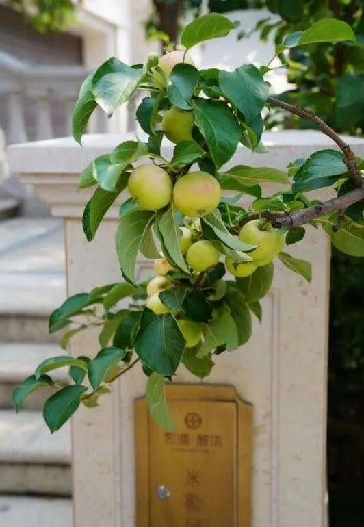 趁秋色浪漫，见一面吧