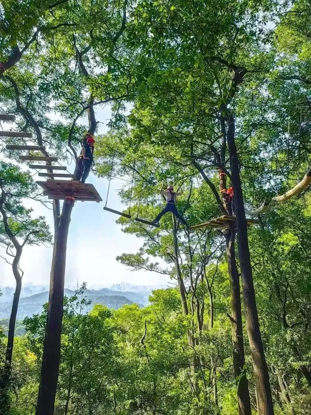 周末去哪？不出广州，这些地方让你“躺平”征服山河（文末福利）
