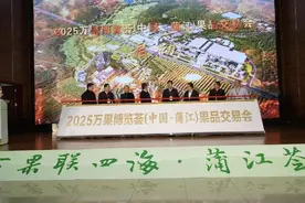 2025万果博览荟（中国·蒲江）果品交易会启幕图片