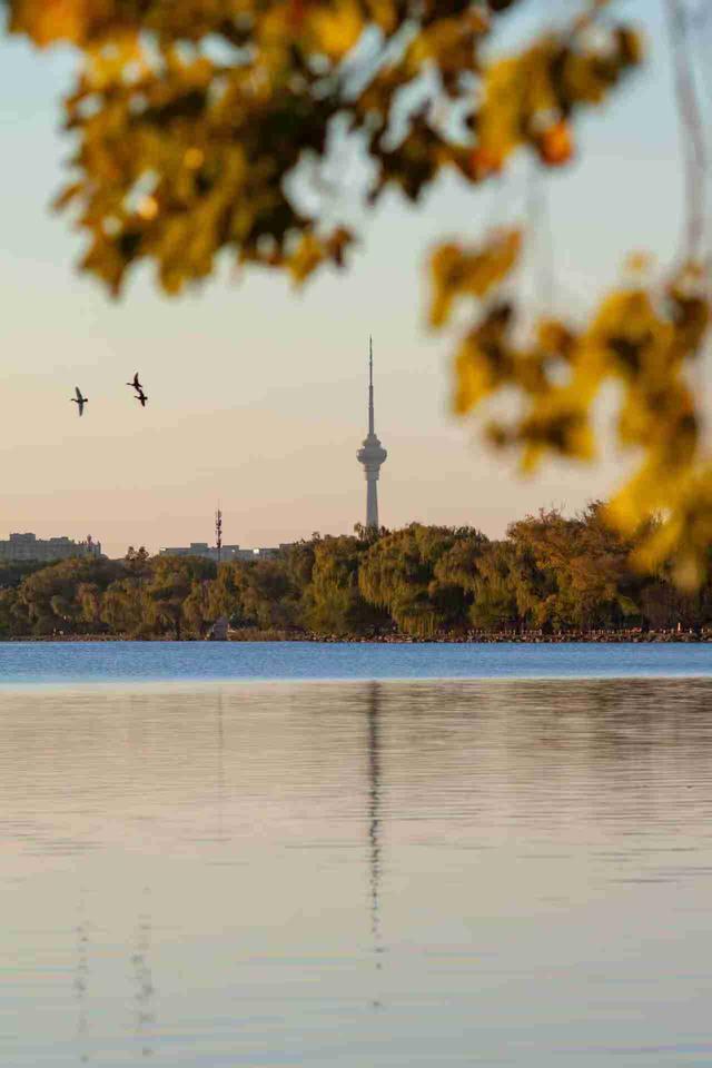 京城拍客今日精选｜深秋绿波暖 枫红衬晴空