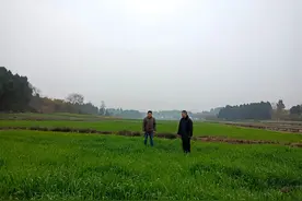 种粮大户的“划算账”图片