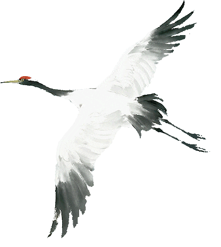 登高问鼎！今天，鼎湖山很热闹！